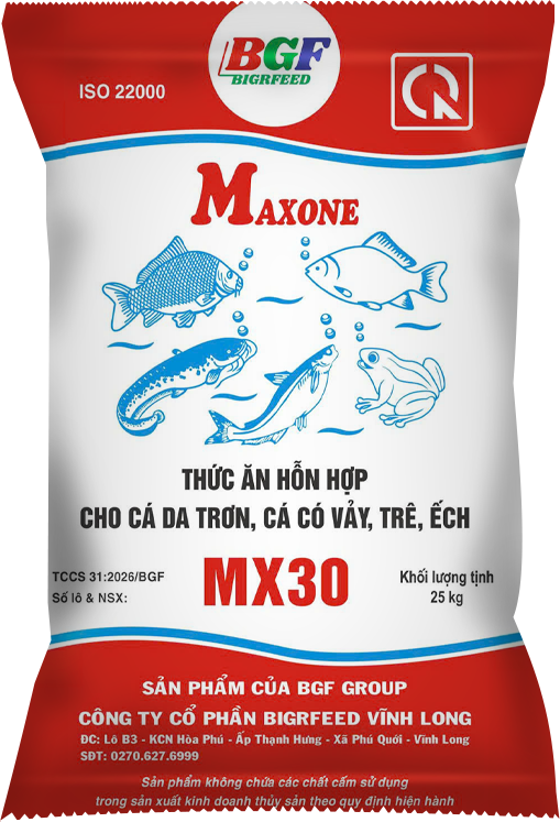Bao bì MAXONE MX30 — Cá da trơn, cá có vẩy, trê, ếch
