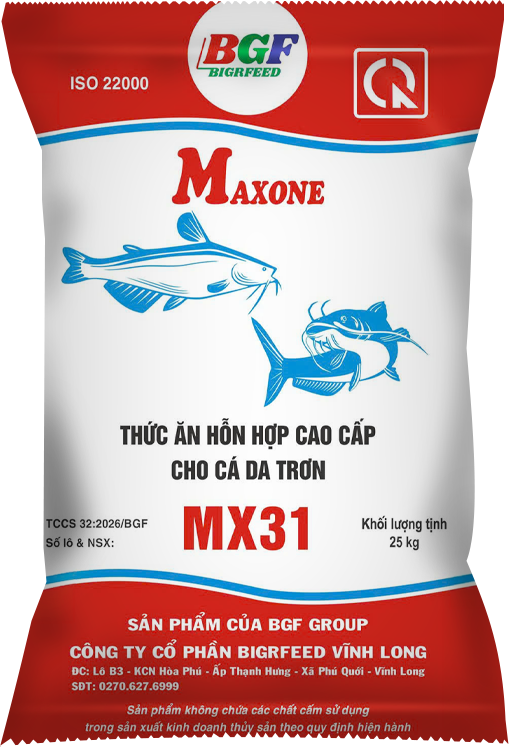 Bao bì MAXONE MX31 — Cá da trơn