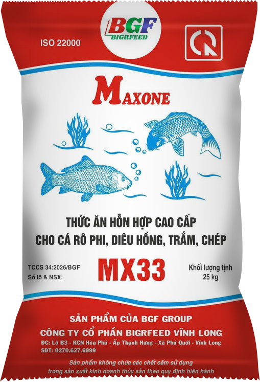 Bao bì MAXONE MX33 — Cá rô phi, diêu hồng, trắm, chép
