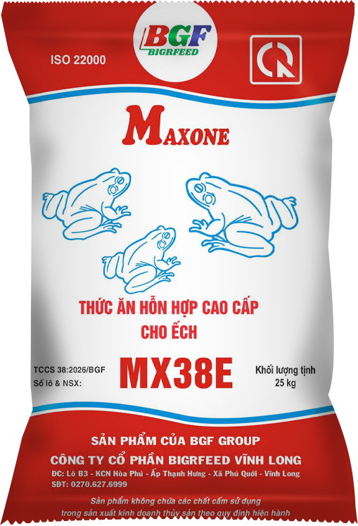 Bao bì MAXONE MX38E — Ếch