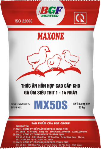 Bao bì MAXONE MX50S — Gà úm siêu thịt 1 – 14 ngày