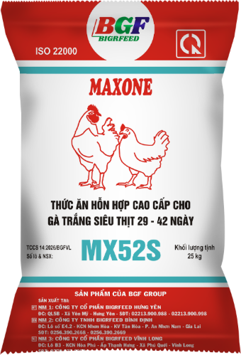 Bao bì MAXONE MX52S — Gà trắng siêu thịt 29 – 42 ngày