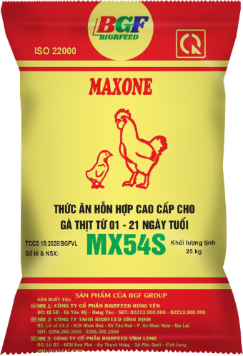 Bao bì MAXONE MX54S — Gà thịt từ 01 – 21 ngày tuổi