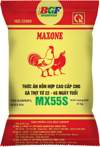 Bao bì MAXONE MX55S — Gà thịt từ 22 – 45 ngày tuổi