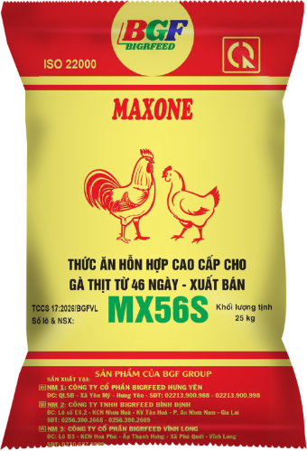 Bao bì MAXONE MX56S — Gà thịt từ 46 ngày – xuất bán