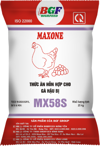 Bao bì MAXONE MX58S — Gà hậu bị