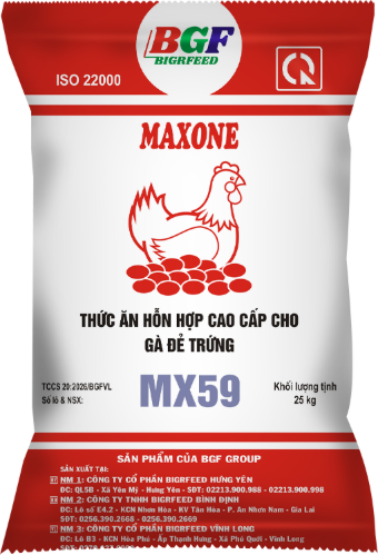 Bao bì MAXONE MX59 — Gà đẻ trứng