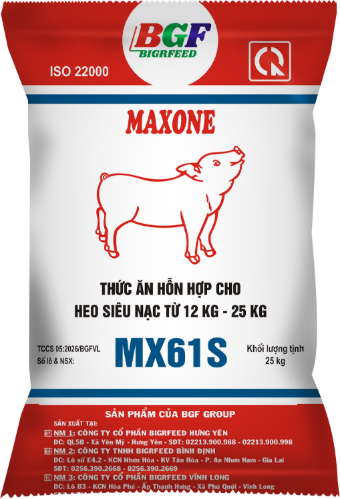 Bao bì MAXONE MX61S — Heo siêu nạc từ 12 kg – 25 kg
