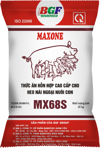 Bao bì MAXONE MX68S — Heo nái ngoại nuôi con