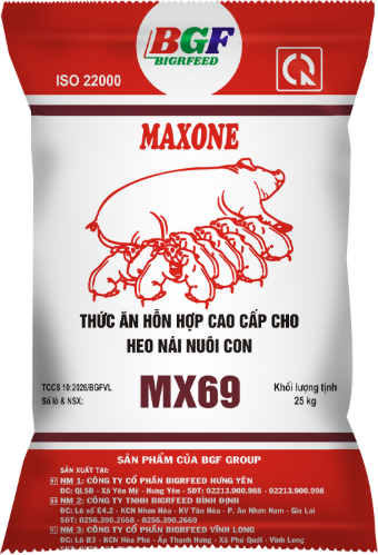 Bao bì MAXONE MX69 — Heo nái nuôi con