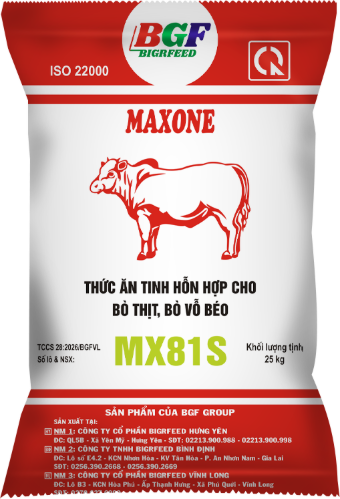 Bao bì MAXONE MX81S — Bò thịt, bò vỗ béo