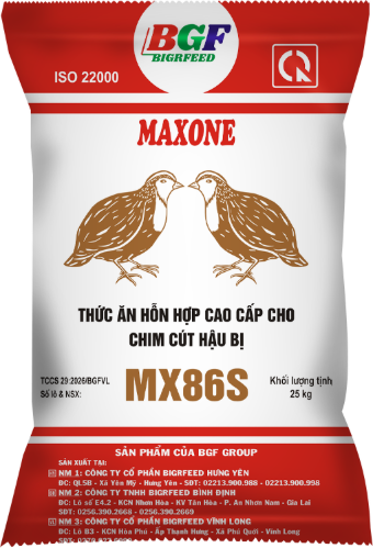 Bao bì MAXONE MX86S — Chim cút hậu bị