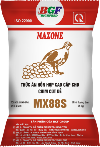 Bao bì MAXONE MX88S — Chim cút đẻ