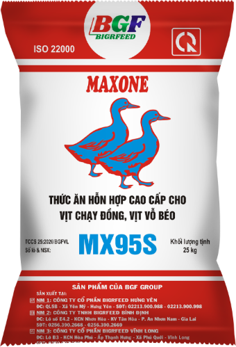 Bao bì MAXONE MX95S — Vịt chạy đồng, vịt vỗ béo