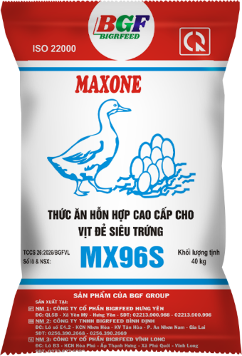 Bao bì MAXONE MX96S — Vịt đẻ siêu trứng