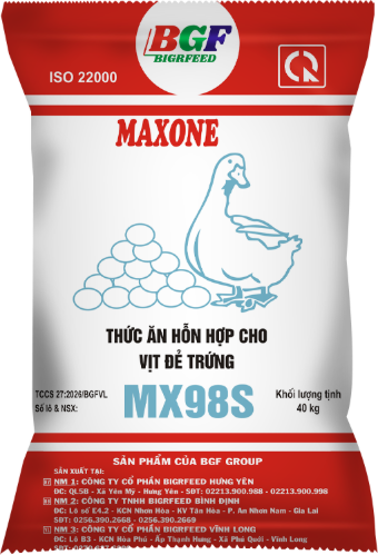 Bao bì MAXONE MX98S — Vịt đẻ trứng